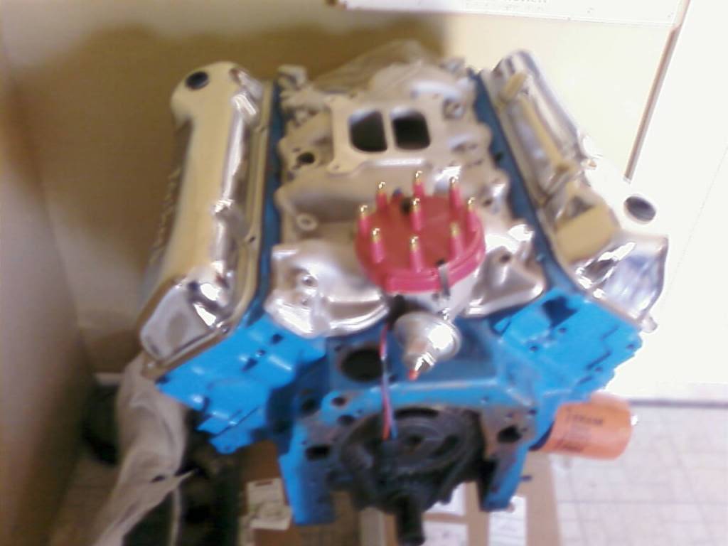 351.jpg