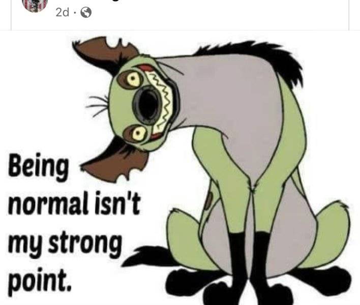 3544E629-E82A-4428-BB90-CEB9C199C215.jpeg
