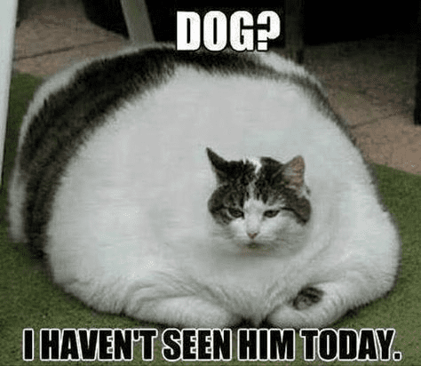 35b2d7b943a686d6bc7d1abc282af4fff1577e1eca1947aedd455eafbd593466.png