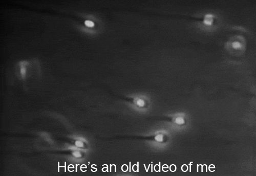 36584313bd77db1701afadc94257d14d7a2b3caf.gif