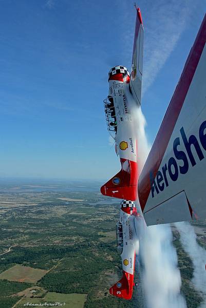 41519071935_5ab36f8339_c.jpg