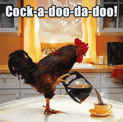 42350a82eb02e4cf5caf648c2d562c6c17ad12f6.gif