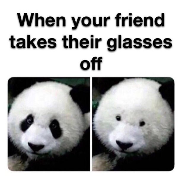 43e25505df9e14ba95fd91d4c3ad403afeaaae4b1098c2ed674af9fa752aeea5.jpg