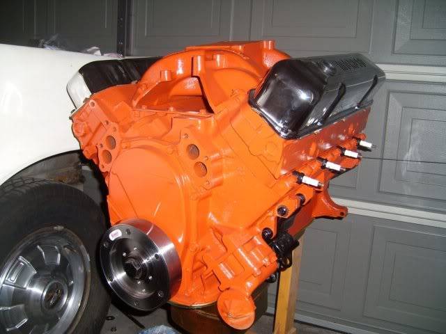 440.jpg