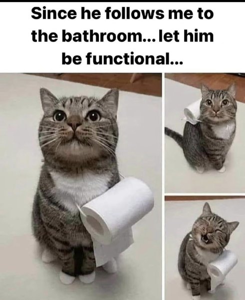 4F412BCC-FE1C-4FD3-BFAC-FEA4BD8A78B3.jpeg