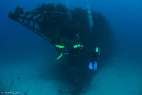 5-rainbowwarrior-big.jpg