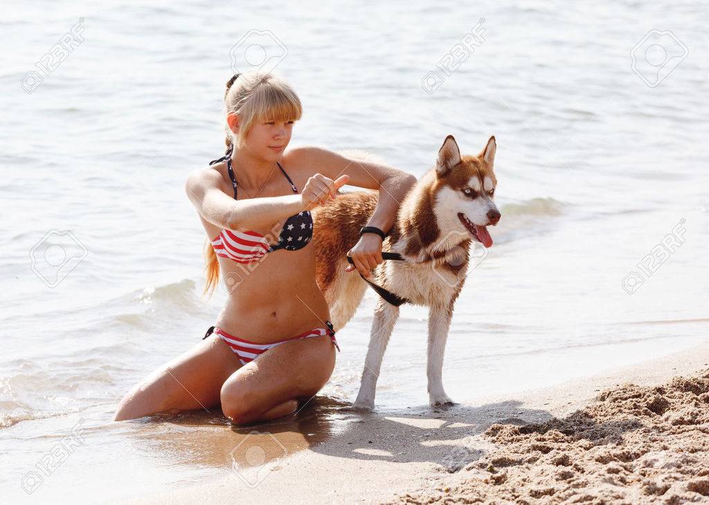 50905701-Young-girl-sits-on-the-beach-with-the-husky-dog-Stock-Photo-bikini.jpg