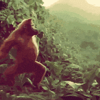 50C9CCC5-4A14-4719-B9AD-23D99E3510AE.gif