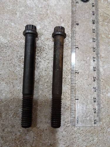 51934812063_197bf3f904.jpg