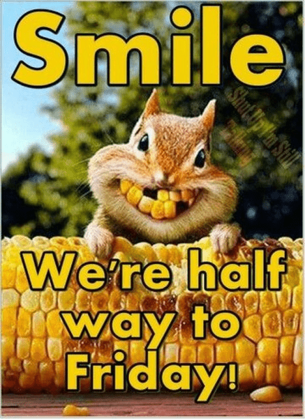 538a19d9831fe028691e92c8aa6d0c9cafd12ce2cca35920cfdffa5d3b5344a3.png