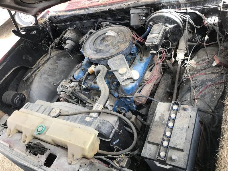 53C3B245-50CC-408F-B1A2-8D8332C3C9E4.jpeg