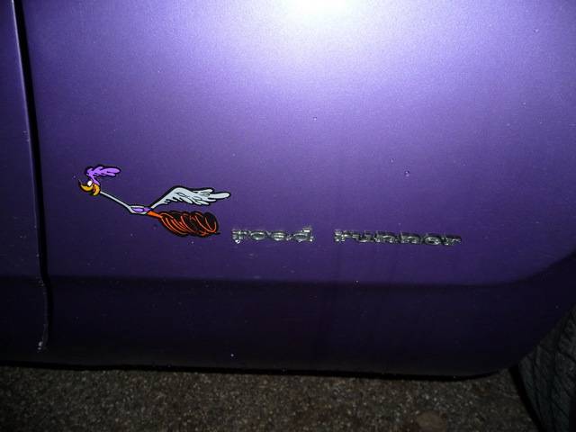553117P1090543redimensionner.jpg