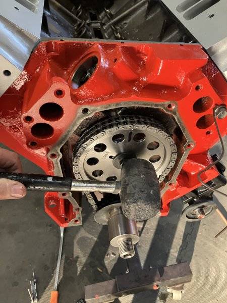 559 R.JPG