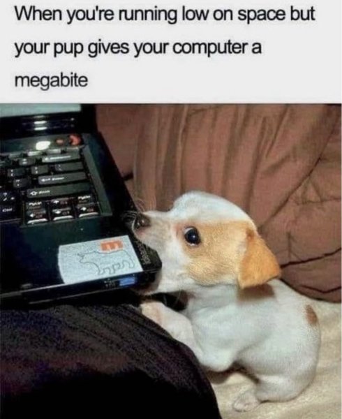 57F97AA6-B4E8-4D30-98EA-FA427C4790F4.jpeg