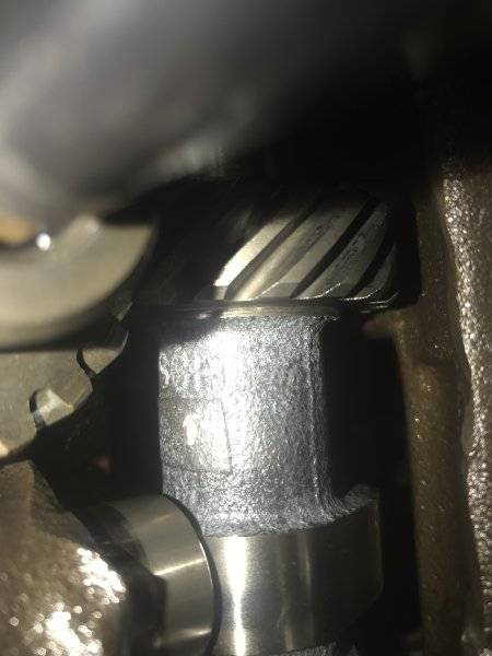 64F53196-8A23-44D7-8CD8-E3937B89DBBD.jpeg 64F53196-8A23-44D7-8CD8-E3937B89DBBD.jpeg