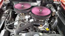 65ply78228-3.jpg