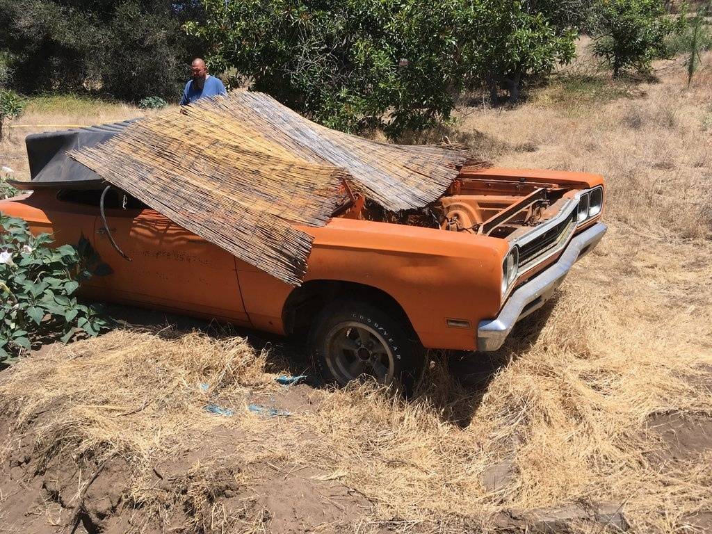 69 Roadrunner Day1.JPG