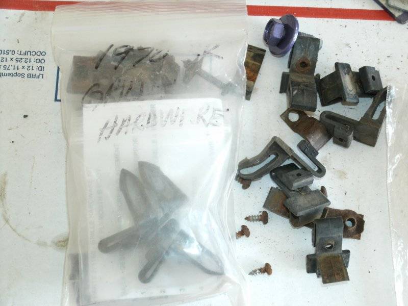 70 RR Bolts and NEW BB Carter fuel pump 008.JPG