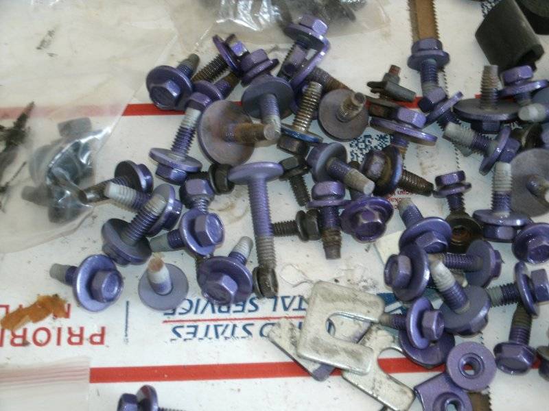 70 RR Bolts and NEW BB Carter fuel pump 010.JPG