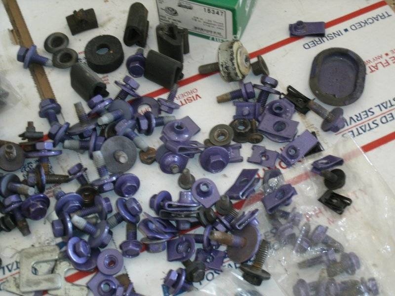 70 RR Bolts and NEW BB Carter fuel pump 011.JPG