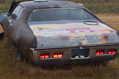 71 roadrunner clone 2.jpg
