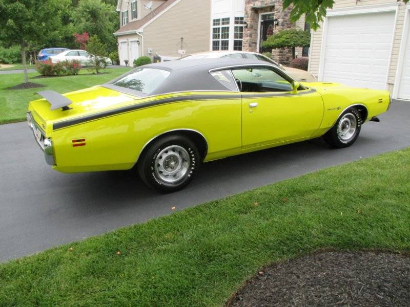 71bee88 (Large).JPG