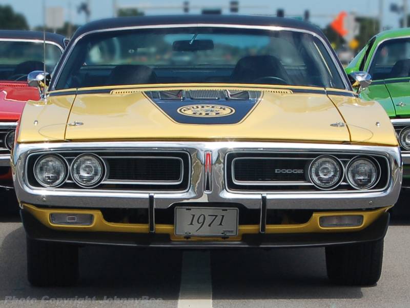 71Bees_RT_003.jpg