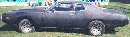 73primer.gif