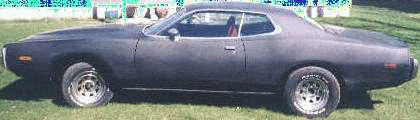 73primer.gif