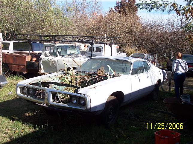 '74 Charger in weeds + Diane-email.JPG