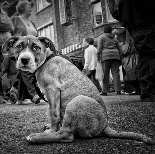 76939eed5280ae1034f18795fbed5768--life-photography-photography-photos.jpg