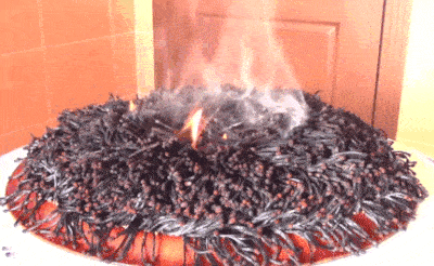 7a311f0ce452afd04b82deb2e17f3318.gif