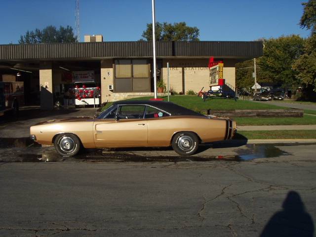 8-13-25 goldie #14.JPG