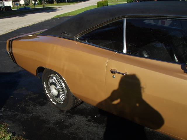 8-13-25 goldie #7.JPG