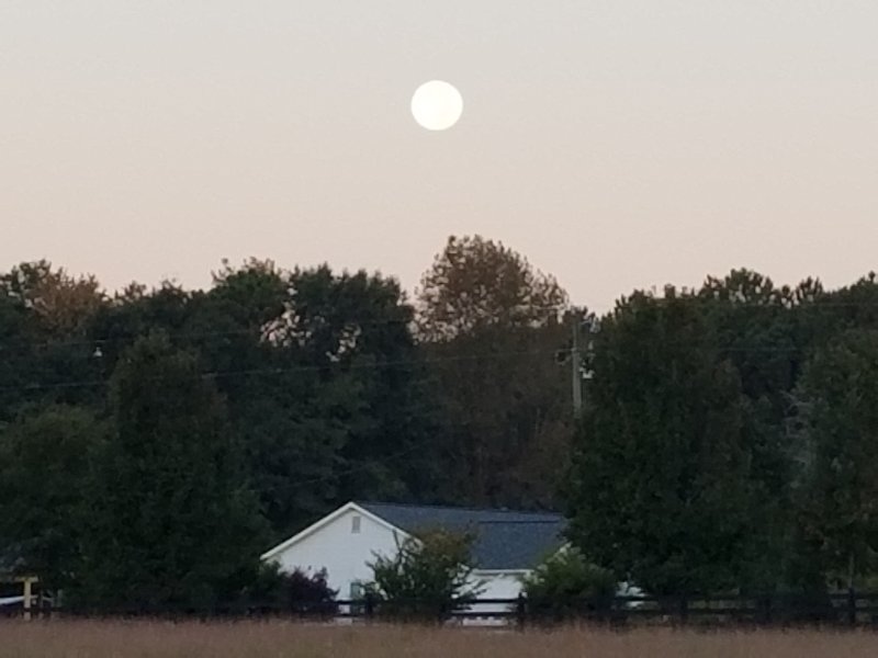 8-31-23 Supermoon-blue moon.jpg