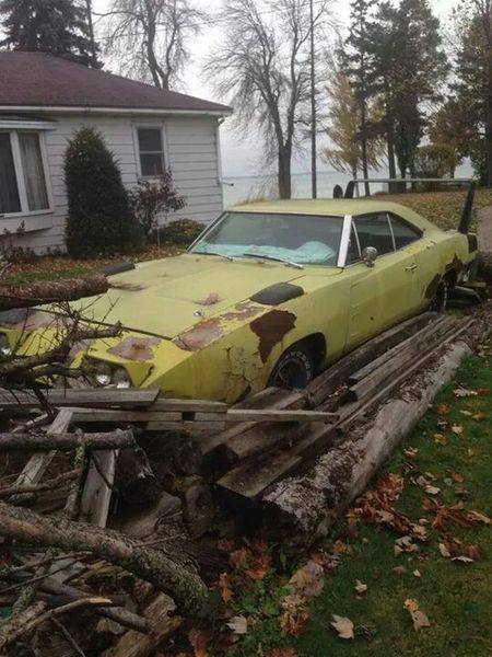 81754d5cdb8ed845fa76adb2704fbac3--dodge-daytona-abandoned-cars.jpg
