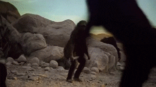 84d404f3eb08138a050e0f8e0115effb67a6e2ad.gif