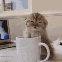 86ddcd1efdc81f4a41c1484d72dc5124.gif
