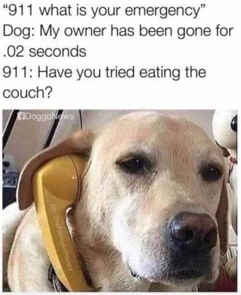 911.jpg
