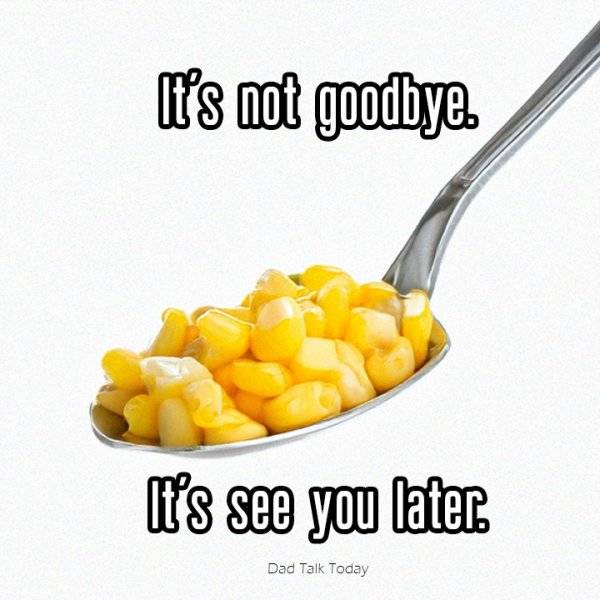 9702252dd5e59fa422e499f97598e3febe9bec035119391edf8c2a02a8db416f.jpg