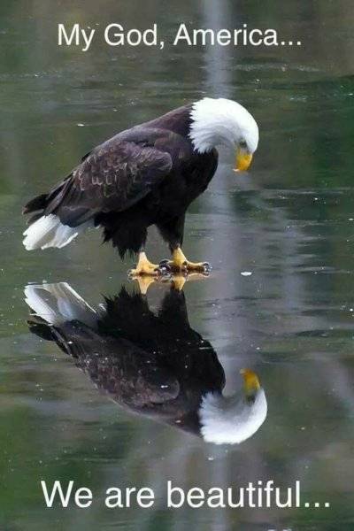 9D2D303B-4B69-4E5C-9D1D-72D6A4DDFF68.jpeg