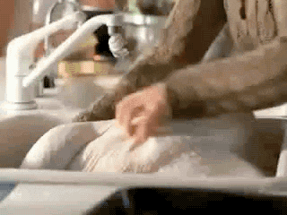 9fc97bb94eb2c1a894f628d1805a0582e7f86a50.gif