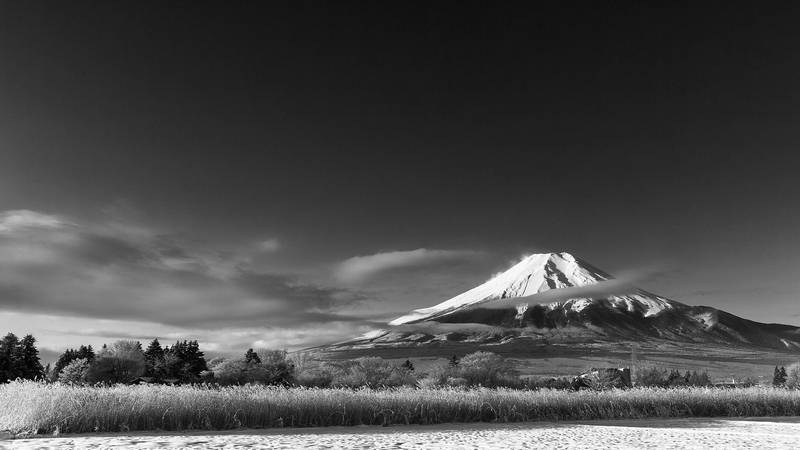 _19A9758-Edit-Edit-X3.jpg