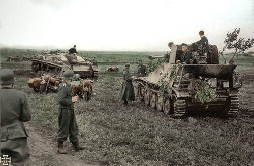 ____marder.jpg
