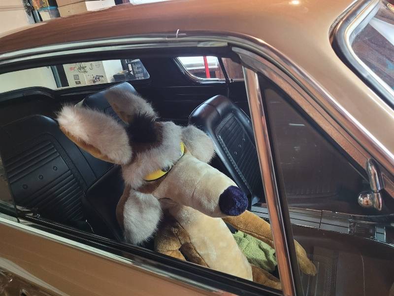 May be an image of car