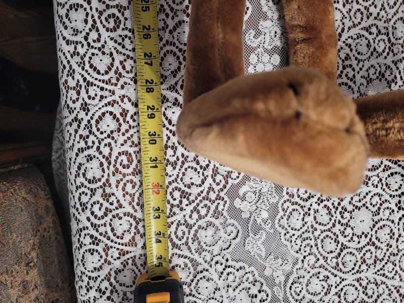 May be an image of measuring stick