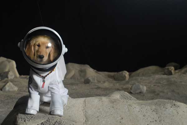 A%2F%2Fg-ecx.images-amazon.com%2Fimages%2FG%2F01%2Fdvd%2Fdisney%2Fspacebuddies%2FAstronaut_Buddy.jpg