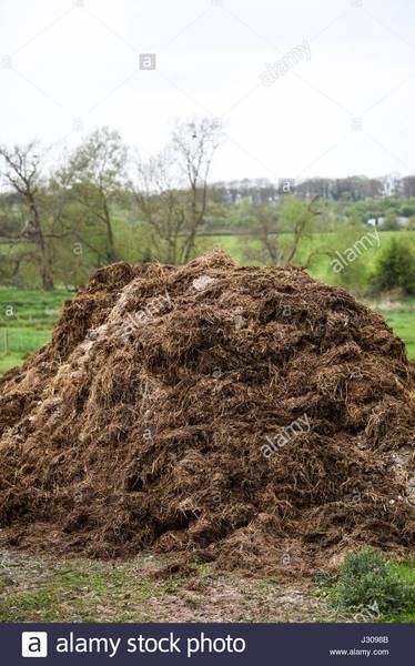 a-pile-of-manure-compost-on-a-uk-farm-J3098B.jpg