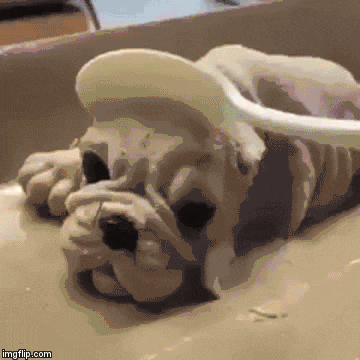 A0BE8620-9475-4D19-BC90-EF09586FB328.gif