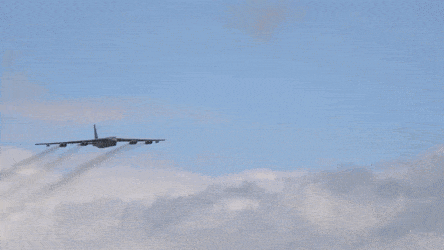 AjarEarlyDeer-max-1mb.gif